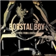 Borstal Boy - Reflections From A Digital Heaven